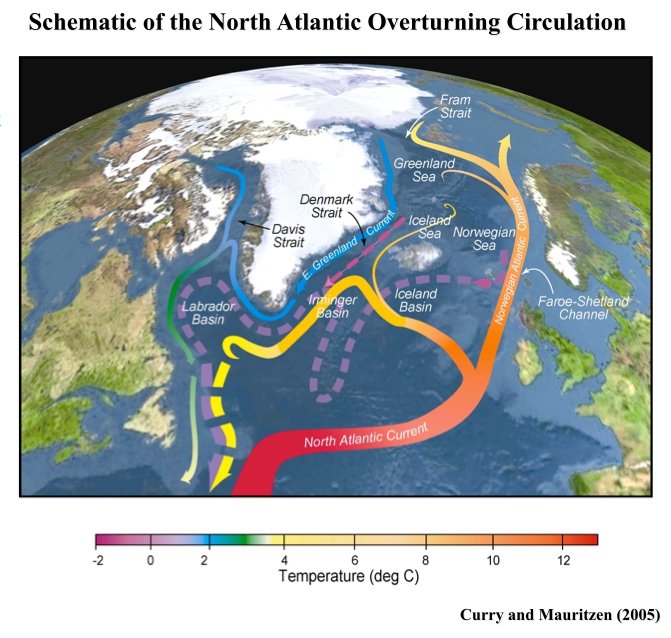 Thermohaline.jpg